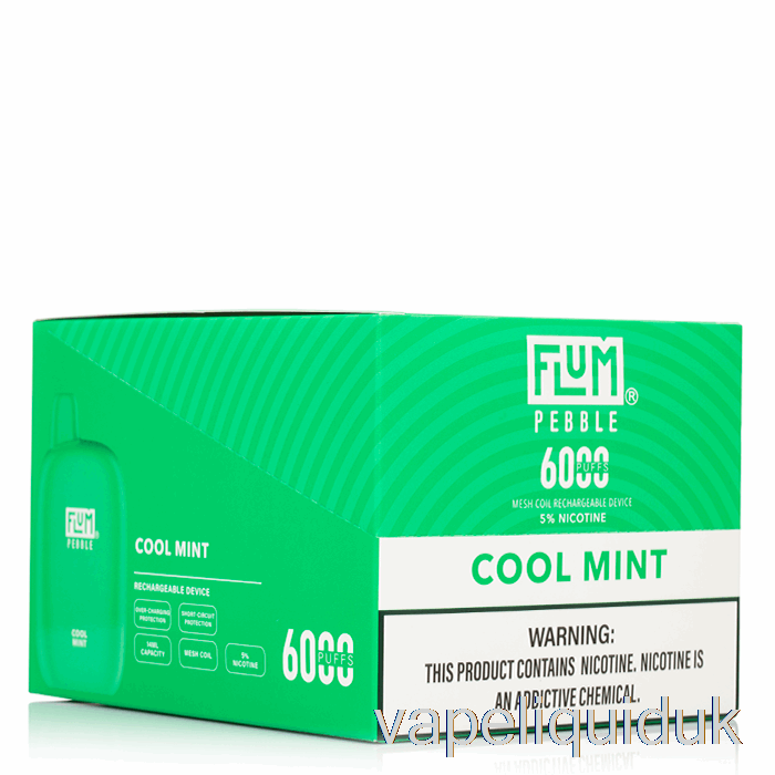 [10-Pack] Flum Pebble 6000 Disposable Vape Liquid